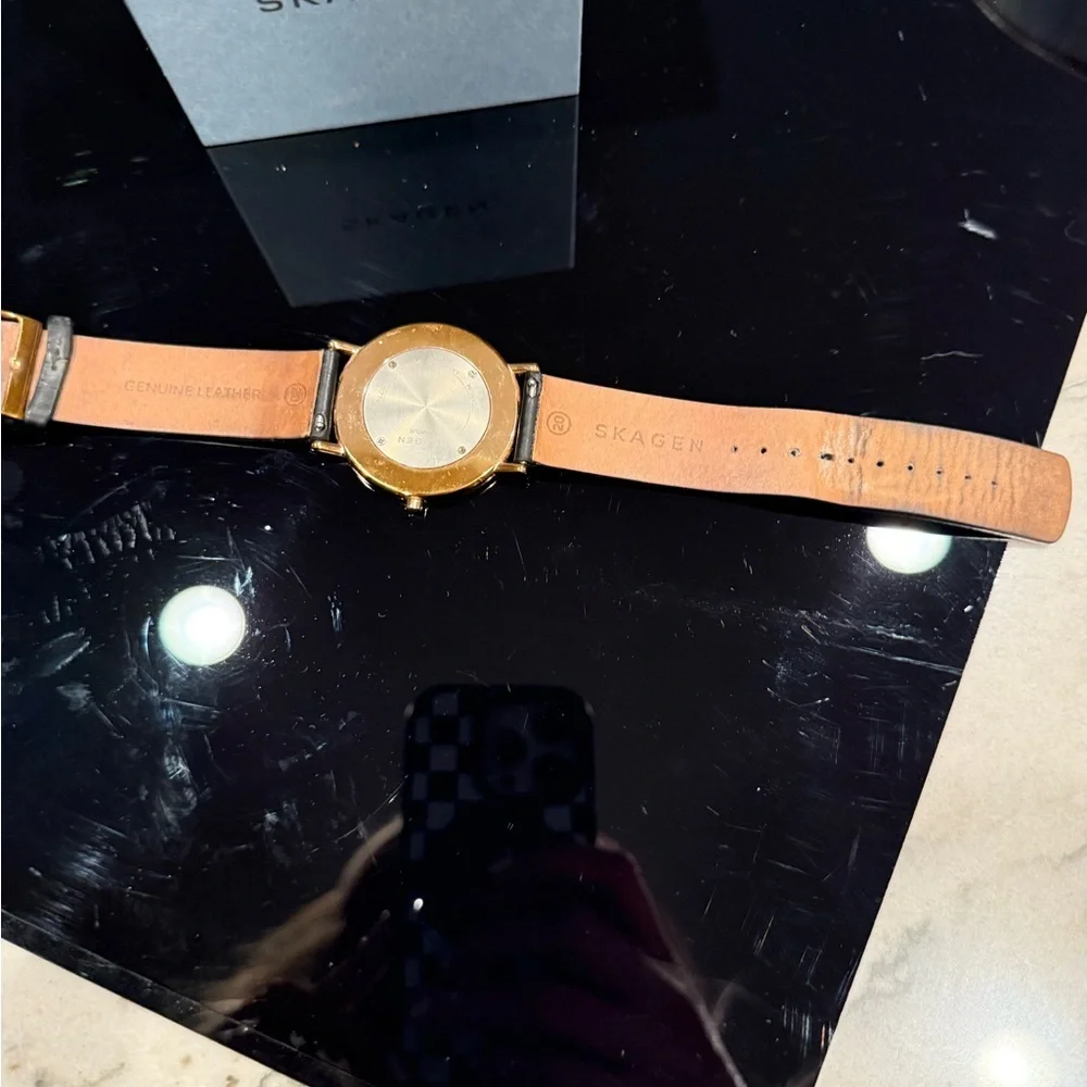 Skagen Signatur SKW6430, Black and Gold with White Face